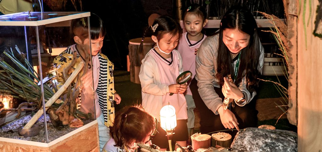 2026 무주반딧불축제 총정리 - 일정·공연시간·신비탐사·주차·먹거리 6 2026 무주 반딧불축제 체험행사